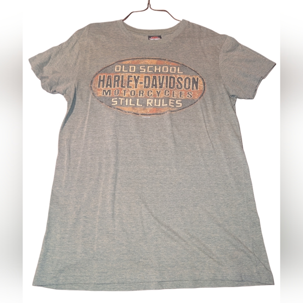 Harley-Davidson Gray Graphic T-Shirt